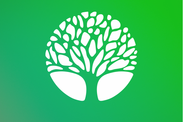 Описание изображения